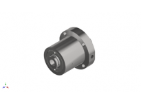 Hollow Piston Cylinder